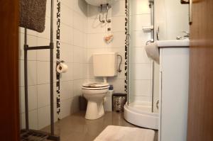 a small bathroom with a toilet and a sink at Apartment Anita Međugorje in Međugorje