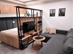 a living room with a couch and a flat screen tv at Apartamenty Mariańska 103 in Racibórz