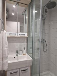 a bathroom with a sink and a glass shower at Business Suite Novi Sad Center in Novi Sad