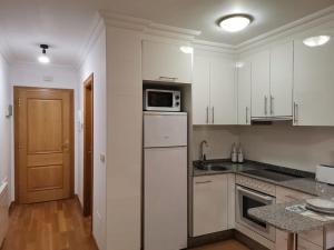 Kuchnia lub aneks kuchenny w obiekcie Apartamento Plaza America 40 m2