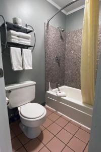 a bathroom with a toilet and a tub and a shower at Lake Logan Inn in Logan