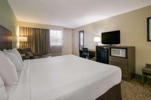 Pokój hotelowy z dużym łóżkiem i telewizorem w obiekcie Best Western Milton Inn w mieście Blairsville