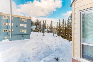 大白山的住宿－Whitefoot Lodge 314，一座有积雪覆盖的院子,里面有建筑和树木