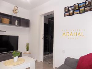 a living room with a couch and a tv at ALOJAMIENTO ARAHAL - RONDA in Ronda