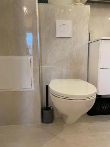 E & A LOSSI 21/23 في تارتو: حمام مع مرحاض أبيض في الغرفة