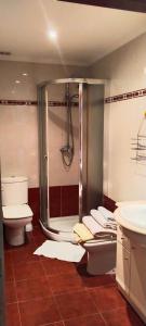 y baño con ducha, aseo y lavamanos. en Pensión Aussie II, en San Sebastián