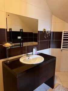 a bathroom with a sink and a large mirror at Victoria in Elblag