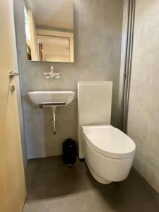 Vannituba majutusasutuses CHALET EGGLEN "Typical Swiss House, Best Views, Private Jacuzzi"