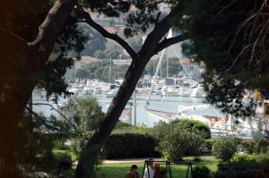 un parque con vistas a un puerto deportivo con barcos en Rooms Villa Amfora Dubrovnik, en Dubrovnik