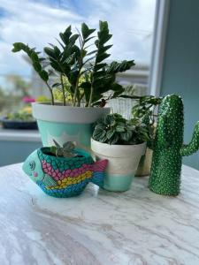 uma mesa com vasos de plantas e um cacto verde em Salty Paws Dog Friendly Luxe Cottage em San Remo