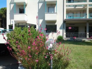 Zahrada ubytování Hotel Flora