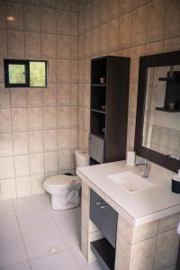 y baño con aseo, lavabo y espejo. en Casa de Campo La Montaña, en Tarija