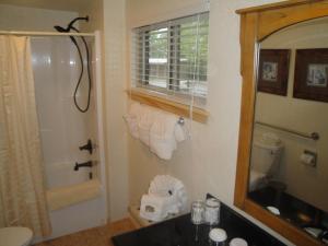 ein Badezimmer mit einem WC, einem Waschbecken und einem Spiegel in der Unterkunft Mountain Harbor Forest View Lodge cottage in Mount Ida