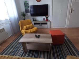 TV a/nebo společenská místnost v ubytování Folka cozy apartment