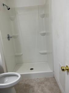 a bathroom with a shower with a toilet and a sink at UNION BK ROOM 101 in Union