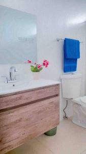 een badkamer met een wastafel, een toilet en een spiegel bij Whole Apartment/Private Pool/Netflix/Wifi in Carolina