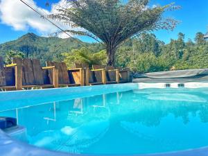 a swimming pool with blue water and mountains in the background at Riverside Accommodation in Karangahake