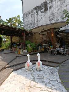 Φωτογραφία από το άλμπουμ του Kamiyamato B&B σε Guangfu