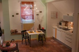 a kitchen with a table and a dog sleeping in a window at OH Apartments & Rooms in Ljubljana