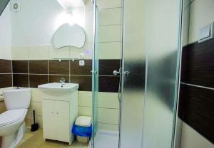 a bathroom with a shower and a toilet and a sink at Apartamenty Motylem Jestem in Szczawnica