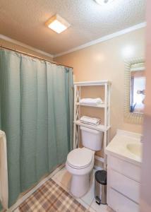 a bathroom with a toilet and a shower and a sink at A Spanish Castle For Your Living Pleasure in Little Rock +41 photos
