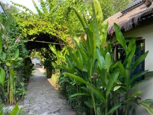 Tipsea Turtle Gili Air في غيلي آير: حديقة بها نباتات خضراء ومبنى