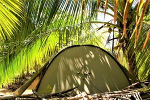 a tent sitting under a palm tree at Aotea Camp'Inn Huahine in Fare