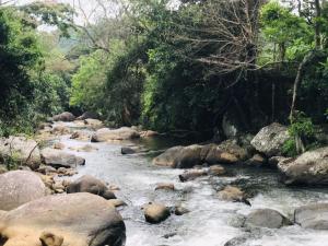 una corriente de agua con rocas y árboles en Belihuloya Village Inn, en Belihuloya