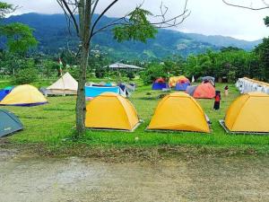 eine Gruppe Zelte, die im Gras bei einem Baum sitzen in der Unterkunft Puncak Camp Hills in Bogor