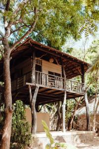 a tree house in the middle of trees at Hilltop Cabanas in Komari