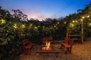 two benches and a fire pit in a backyard with lights at Mahalo BnB in Mapleton