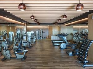 Fitness centrum a/nebo fitness zařízení v ubytování E-DA Skylark Hotel