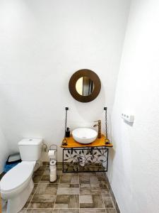 a bathroom with a toilet and a sink and a mirror at Cabana A-Frame Refugiu Montan in Băişoara