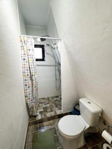 a bathroom with a toilet and a shower curtain at Cabana A-Frame Refugiu Montan in Băişoara