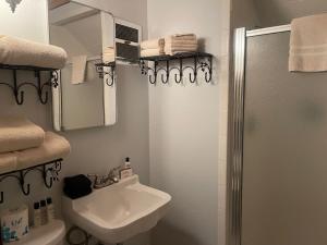 un piccolo bagno con lavandino e doccia di Casa De Las Montanas a Red River Altre 22 foto