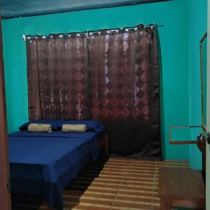 Un dormitorio con una cama con una pared azul y verde en Alba House, en Puerto Jiménez