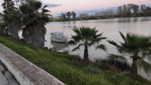ein Boot inmitten eines Flusses mit Palmen in der Unterkunft habitación doble con aseo compartido in Coria del Río