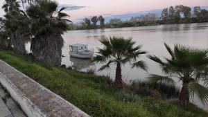 a boat in the middle of a river with palm trees at habitación doble a 100m paseo fluvial in Coria del Río