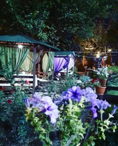 einen Garten mit lila Blumen und einem Zelt in der Unterkunft Bay Ali in Tölöykön
