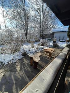 Haus am Bach durante l'inverno