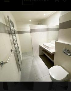 uma casa de banho com um WC e um lavatório em Studio climatisée dans résidence à 5 minutes des plages a pied em Propriano