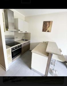 uma cozinha com um lavatório e um fogão forno superior em Studio climatisée dans résidence à 5 minutes des plages a pied em Propriano