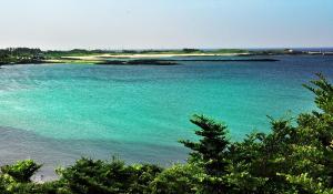 a large body of water with trees in the foreground at The House Pension in Jeju