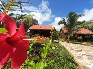 Villa Meva في Antanamitarana Atsimo: وردة حمراء أمام المنزل