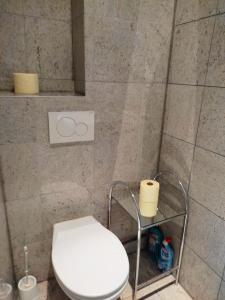 baño con aseo y 2 rollos de papel higiénico en Lovely Modern Historical 1-Bedroom en Viena