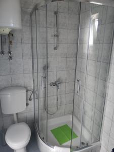 a bathroom with a shower with a toilet and a green mat at Guest House Blaise in Dubrovnik