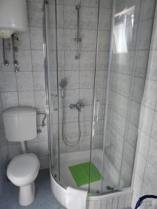 a bathroom with a shower with a toilet and a sink at Guest House Blaise in Dubrovnik