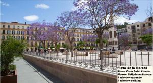 a fence in a city with trees with purple flowers at BIG FLAT IN CITY CENTER, UP To 12 PEOPLE in Málaga