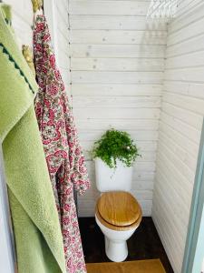 a bathroom with a toilet with a plant in it at Designový Tiny house(minidomeček) U Mluvících kamenů in Staré Křečany