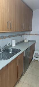 a kitchen counter with a sink and a dishwasher at apart paz in Torrevieja